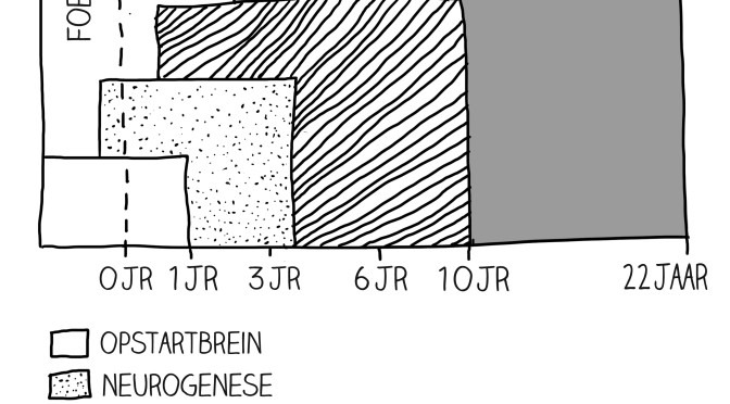 Peuter Zijn (the state of being)